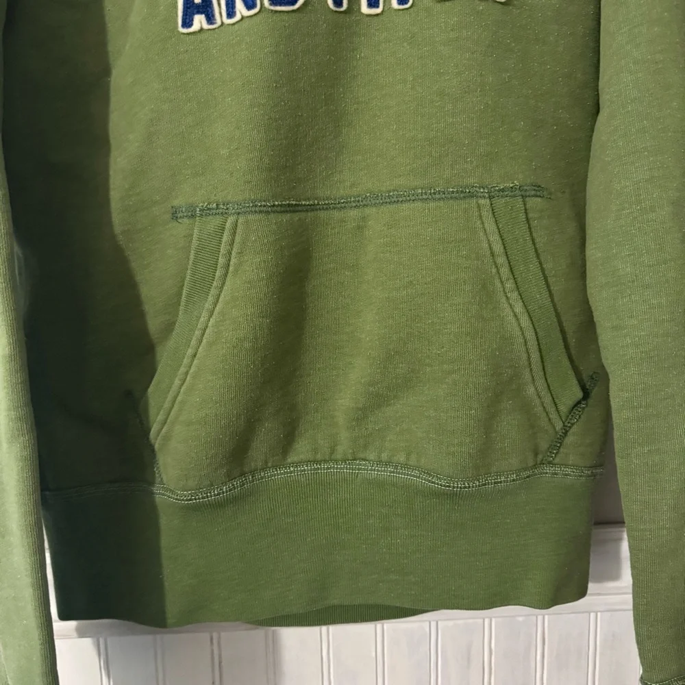 Abercrombie & Fitch Hoodie Spell Out Moose Pullover Hoodie Y2K Green Women Large - Picture 3 of 8